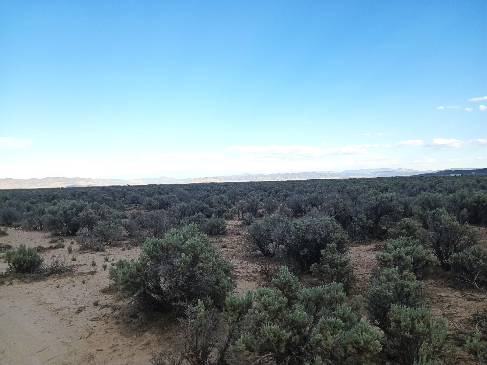 20 Acres Sec10 T35S R17W, Beryl, photo 2 of 7