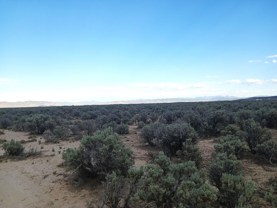 20 Acres Sec10 T35S R17W, Beryl, photo 2