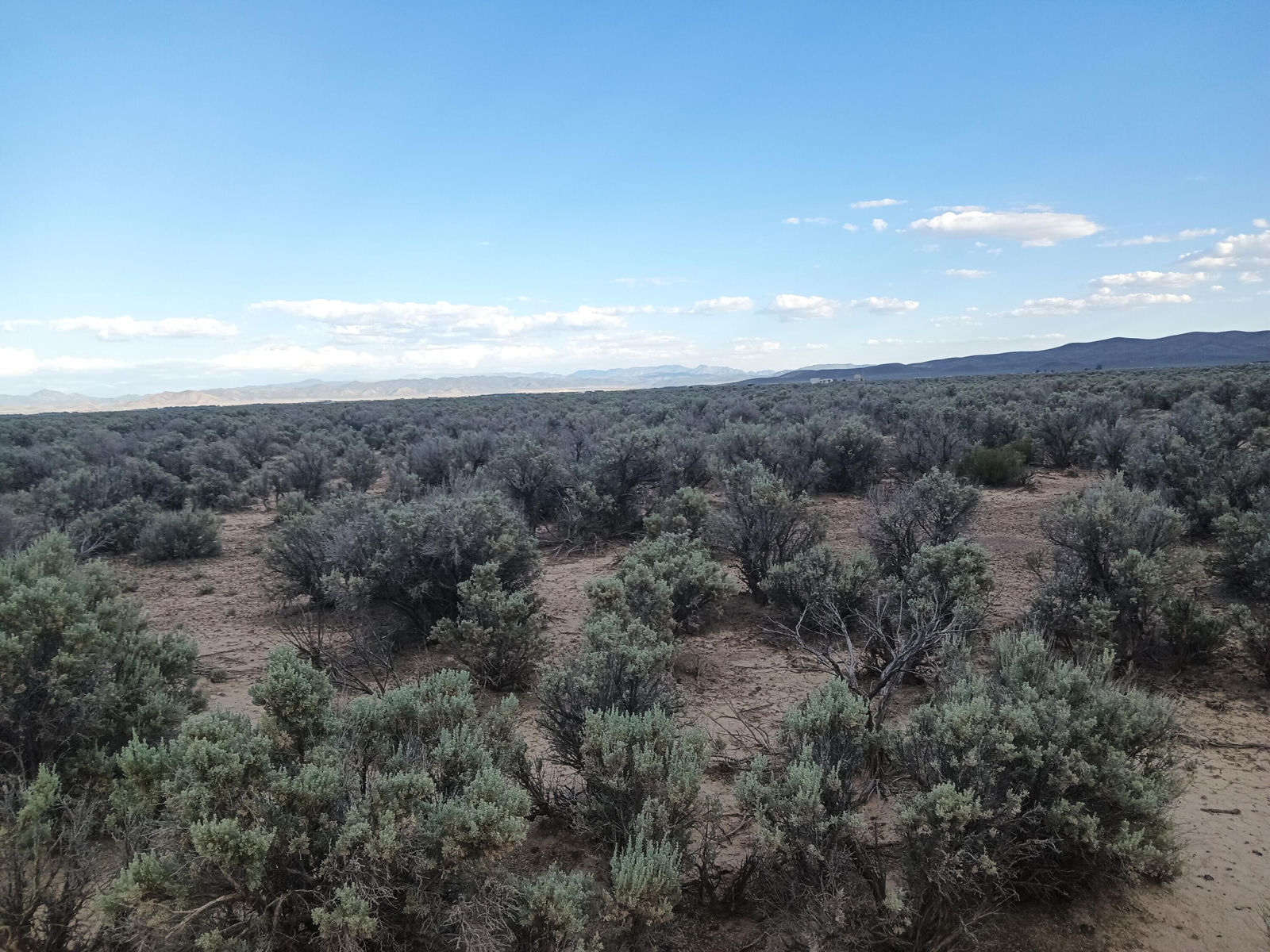 20 Acres Sec10 T35S R17W, Beryl, photo 1