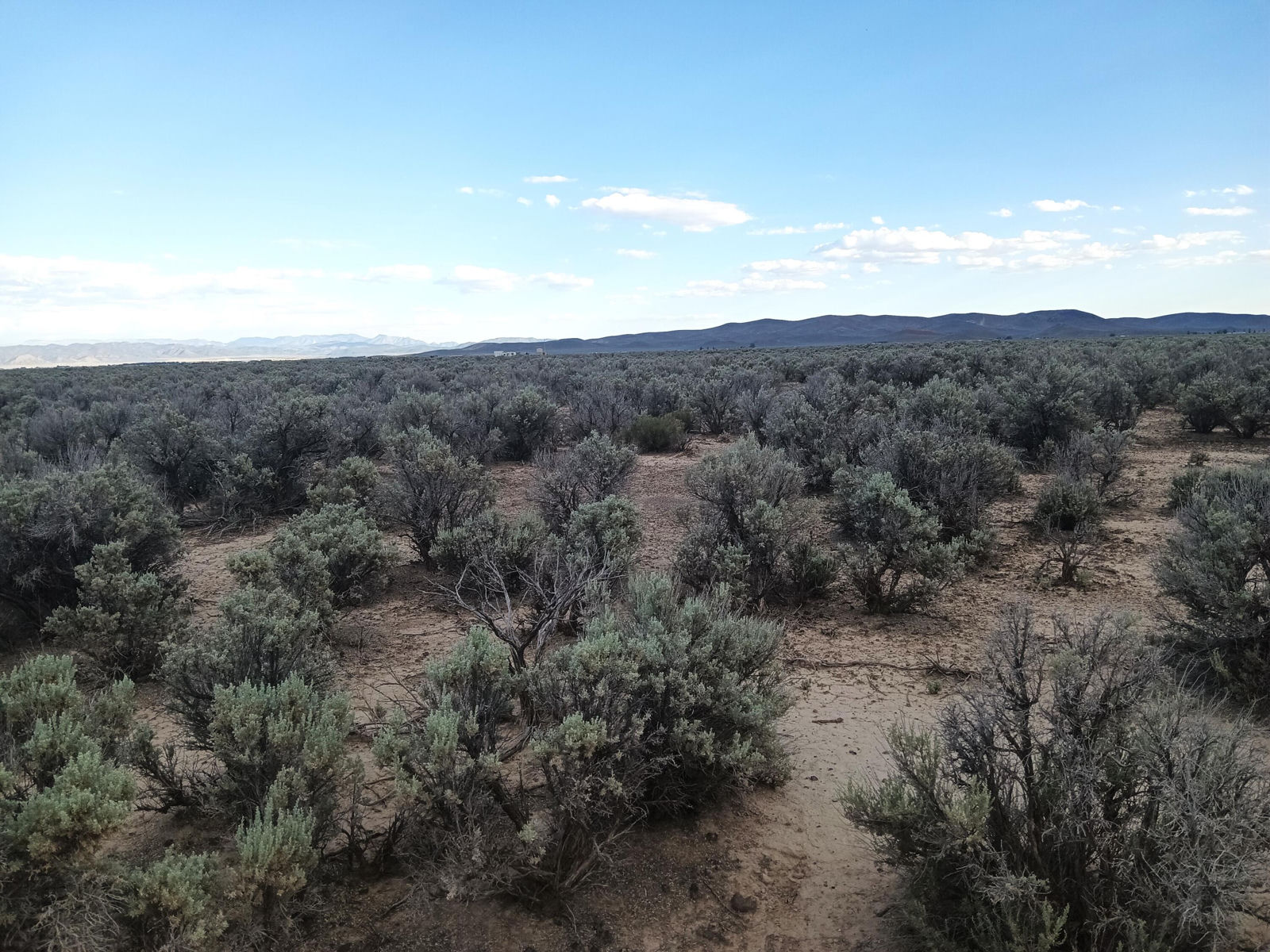20 Acres Sec10 T35S R17W, Beryl, photo 4 of 7