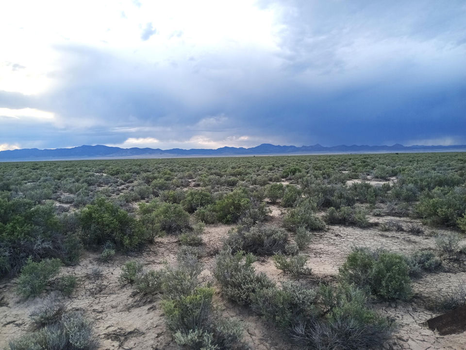 20 Acres Sec17 T34S R16W, Beryl