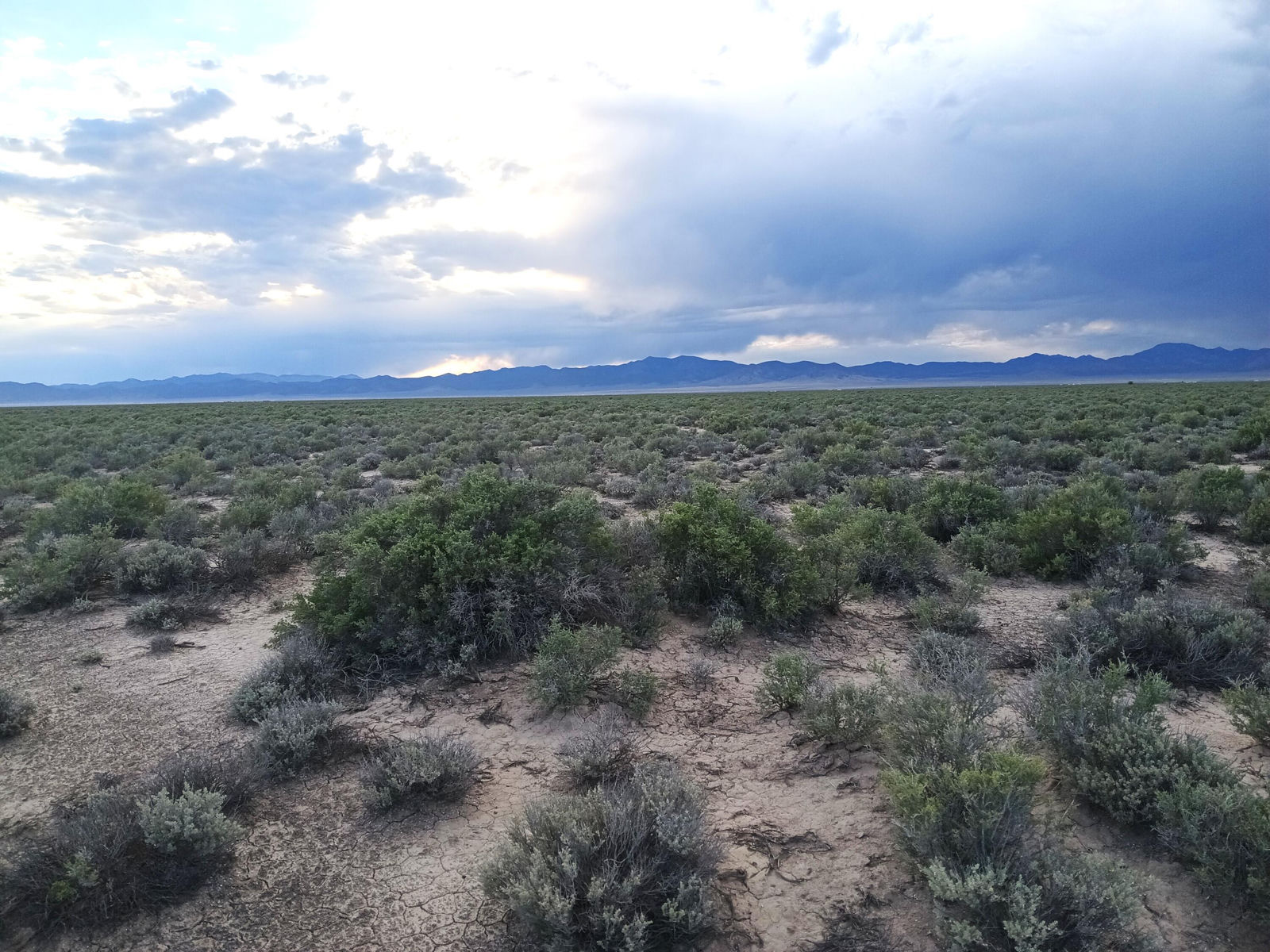 20 Acres Sec17 T34S R16W, Beryl, photo 2 of 16