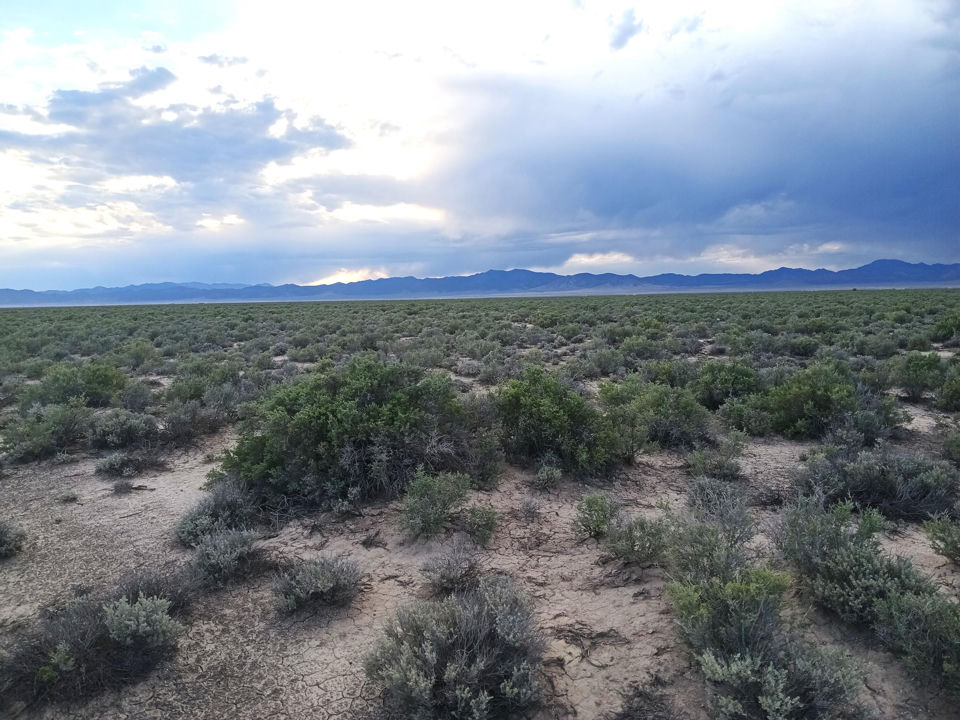 20 Acres Sec17 T34S R16W, Beryl, photo 2