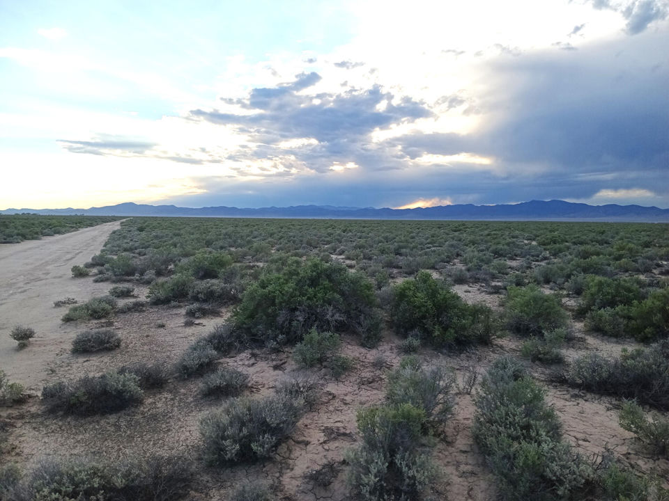 20 Acres Sec17 T34S R16W, Beryl, photo 3