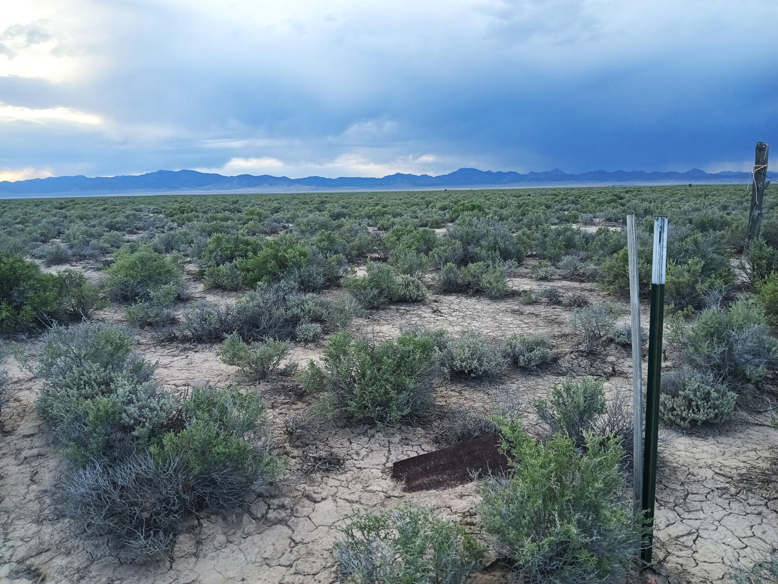 20 Acres Sec17 T34S R16W, Beryl, photo 4 of 16