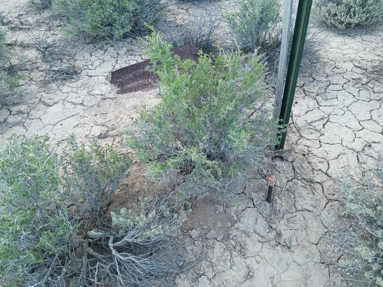 20 Acres Sec17 T34S R16W, Beryl, photo 5 of 16