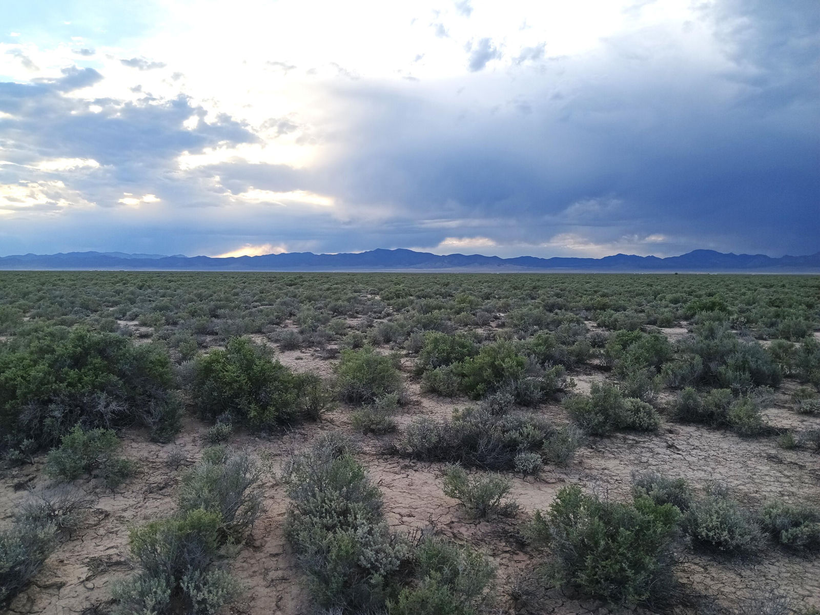 20 Acres Sec17 T34S R16W, Beryl, photo 6 of 16