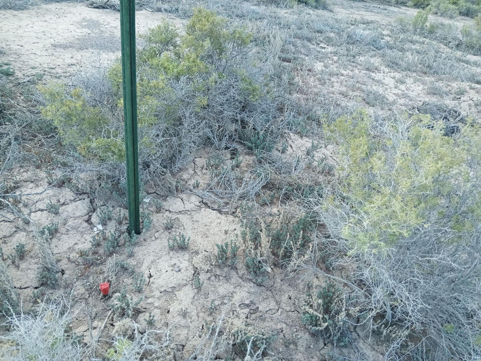 20 Acres Sec17 T34S R16W, Beryl, photo 10 of 16
