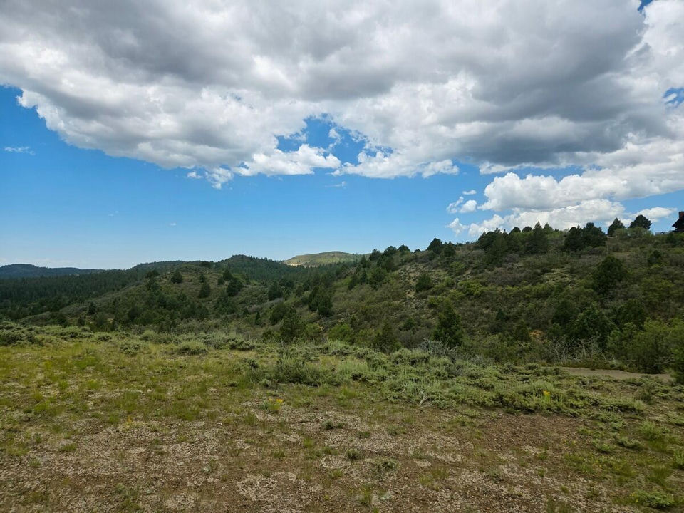 W Silverado Ridge, Duck Creek Village, photo 2