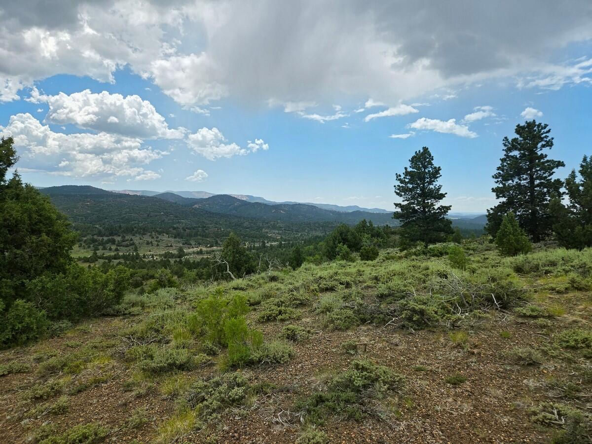W Silverado Ridge, Duck Creek Village, photo 3 of 24
