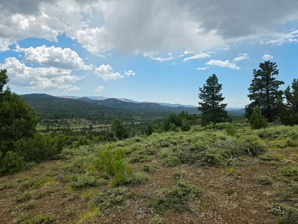 W Silverado Ridge, Duck Creek Village, photo 3