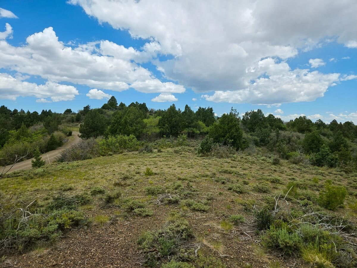 W Silverado Ridge, Duck Creek Village, photo 4 of 24