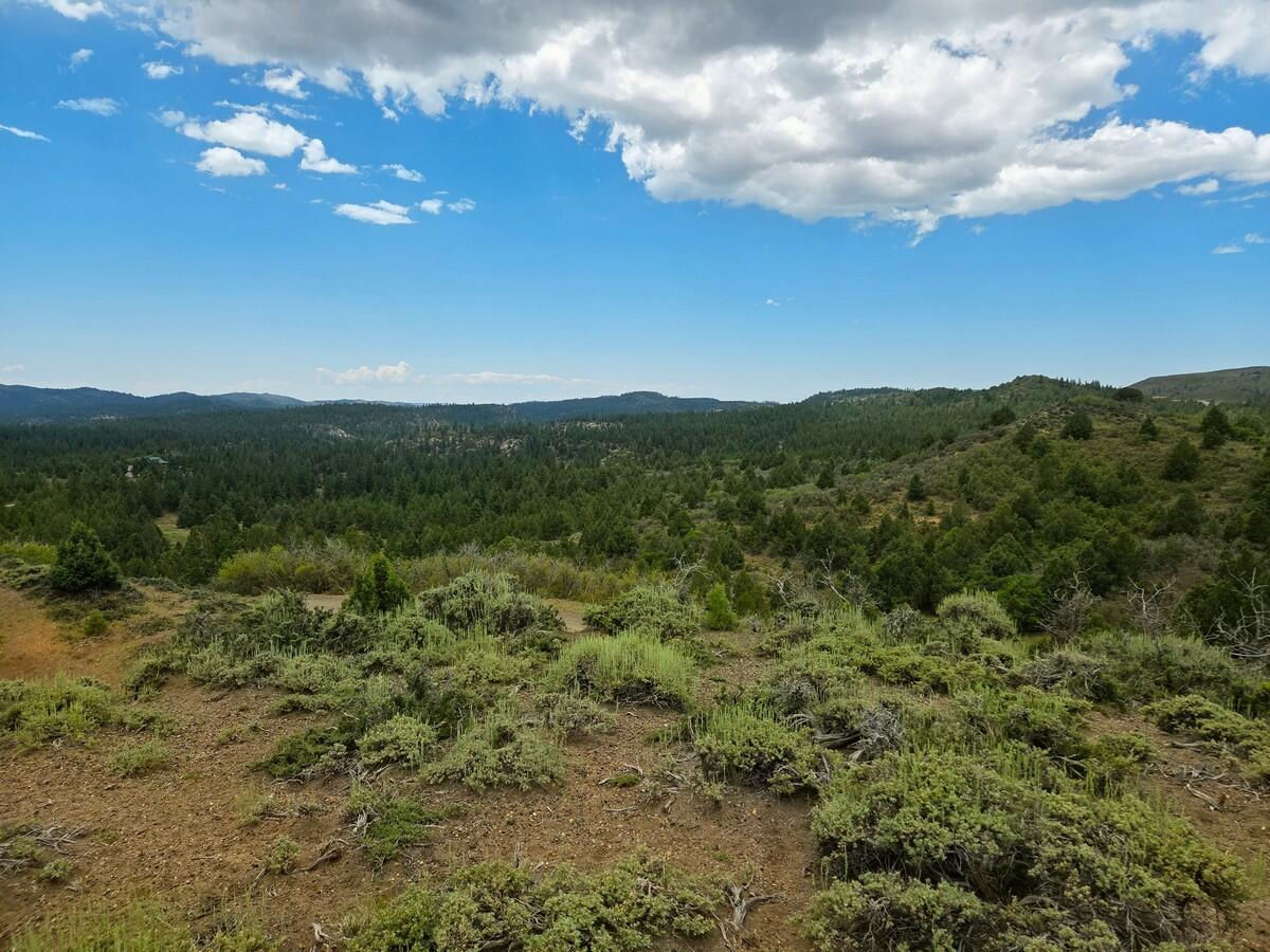 W Silverado Ridge, Duck Creek Village, photo 5 of 24