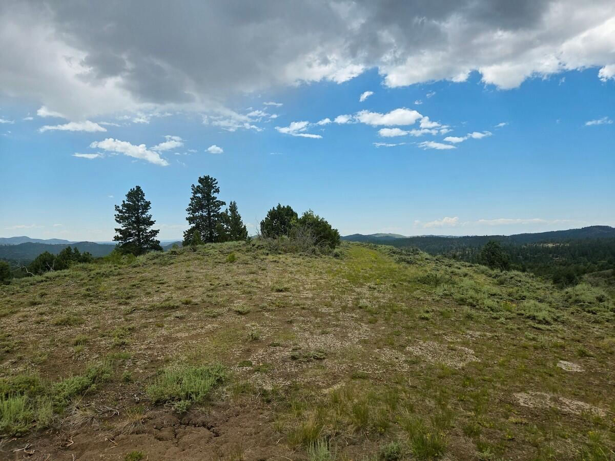 W Silverado Ridge, Duck Creek Village, photo 6 of 24