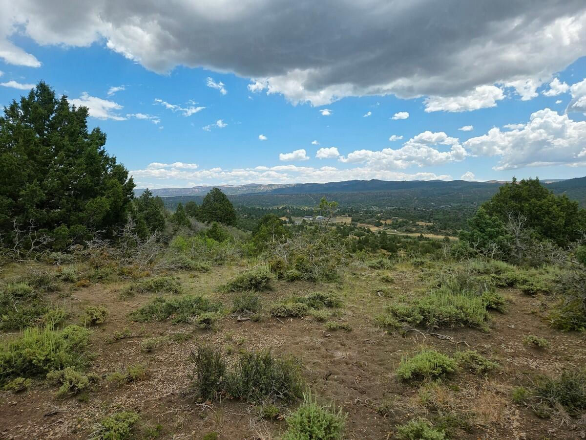 W Silverado Ridge, Duck Creek Village, photo 7 of 24