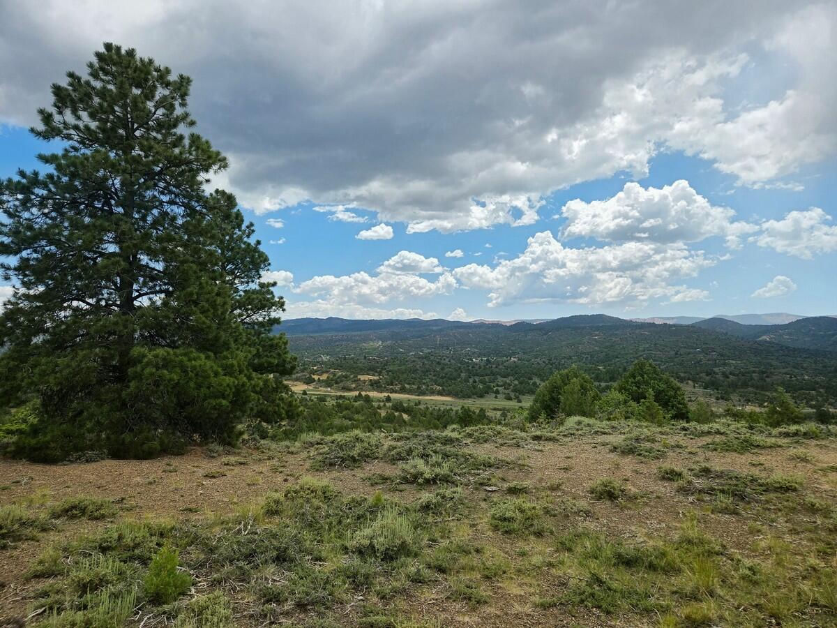 W Silverado Ridge, Duck Creek Village, photo 8 of 24