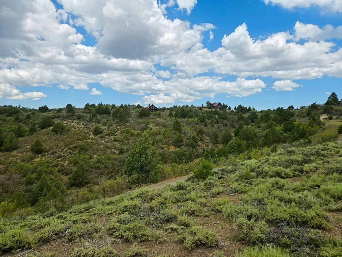 W Silverado Ridge, Duck Creek Village, photo 10 of 24