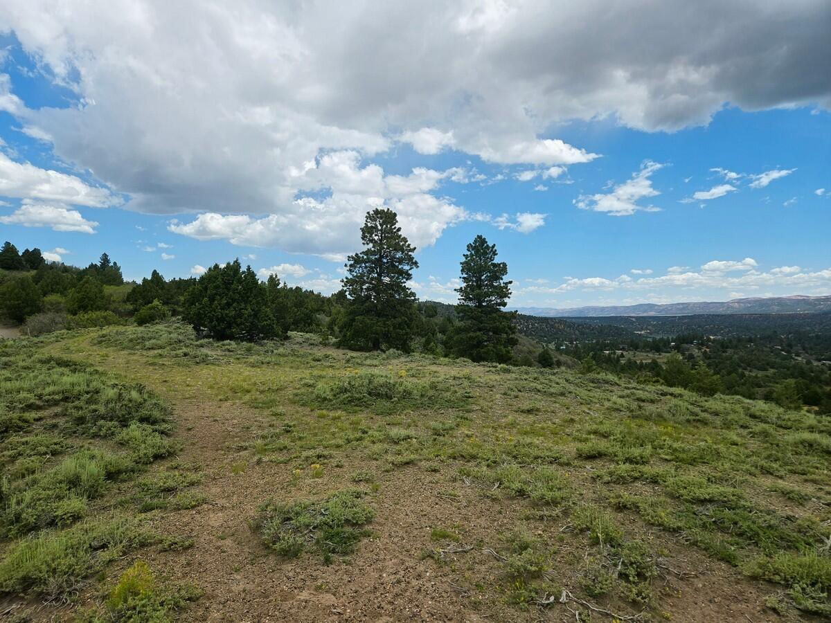 W Silverado Ridge, Duck Creek Village, photo 11 of 24