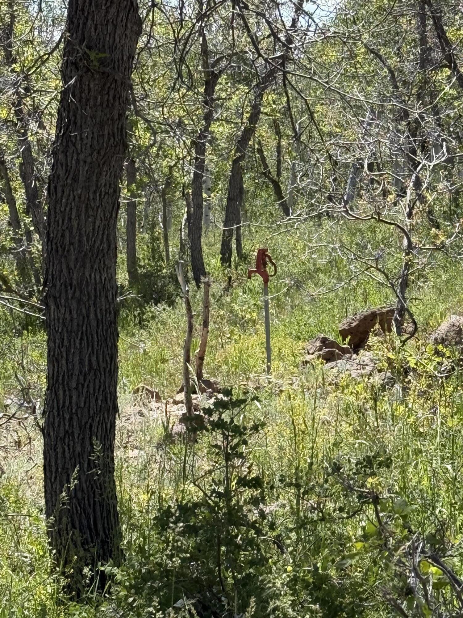 Minor Lot Addition to Trossach Lot Est, Next to Lot 23, Cedar City, photo 5 of 23