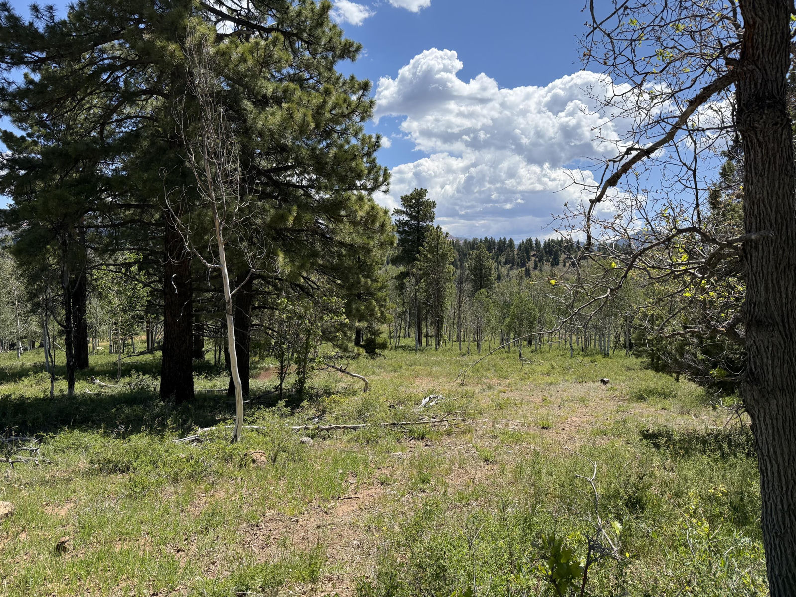 Minor Lot Addition to Trossach Lot Est, Next to Lot 23, Cedar City, photo 3 of 23