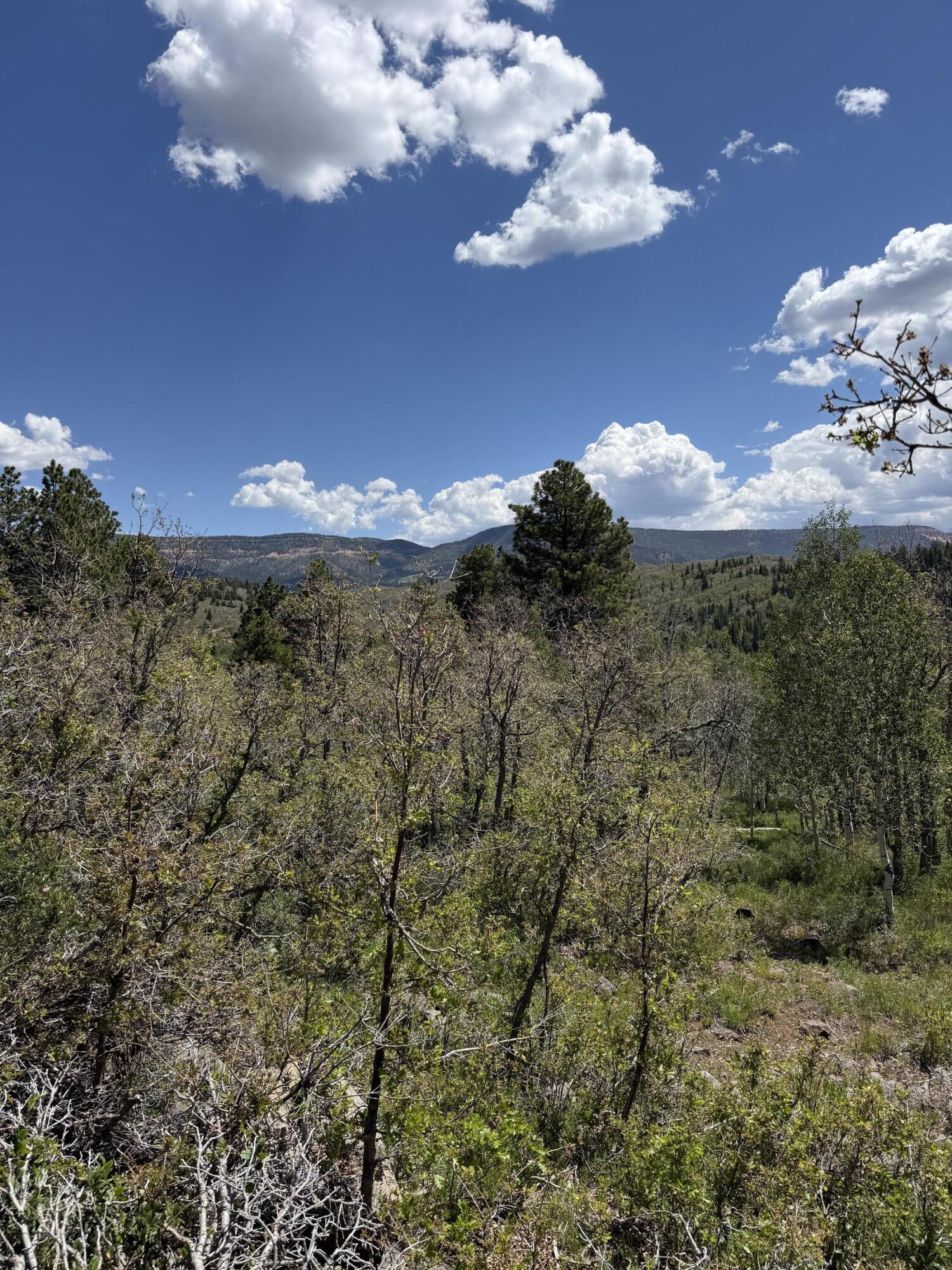 Minor Lot Addition to Trossach Lot Est, Next to Lot 23, Cedar City, photo 7 of 23