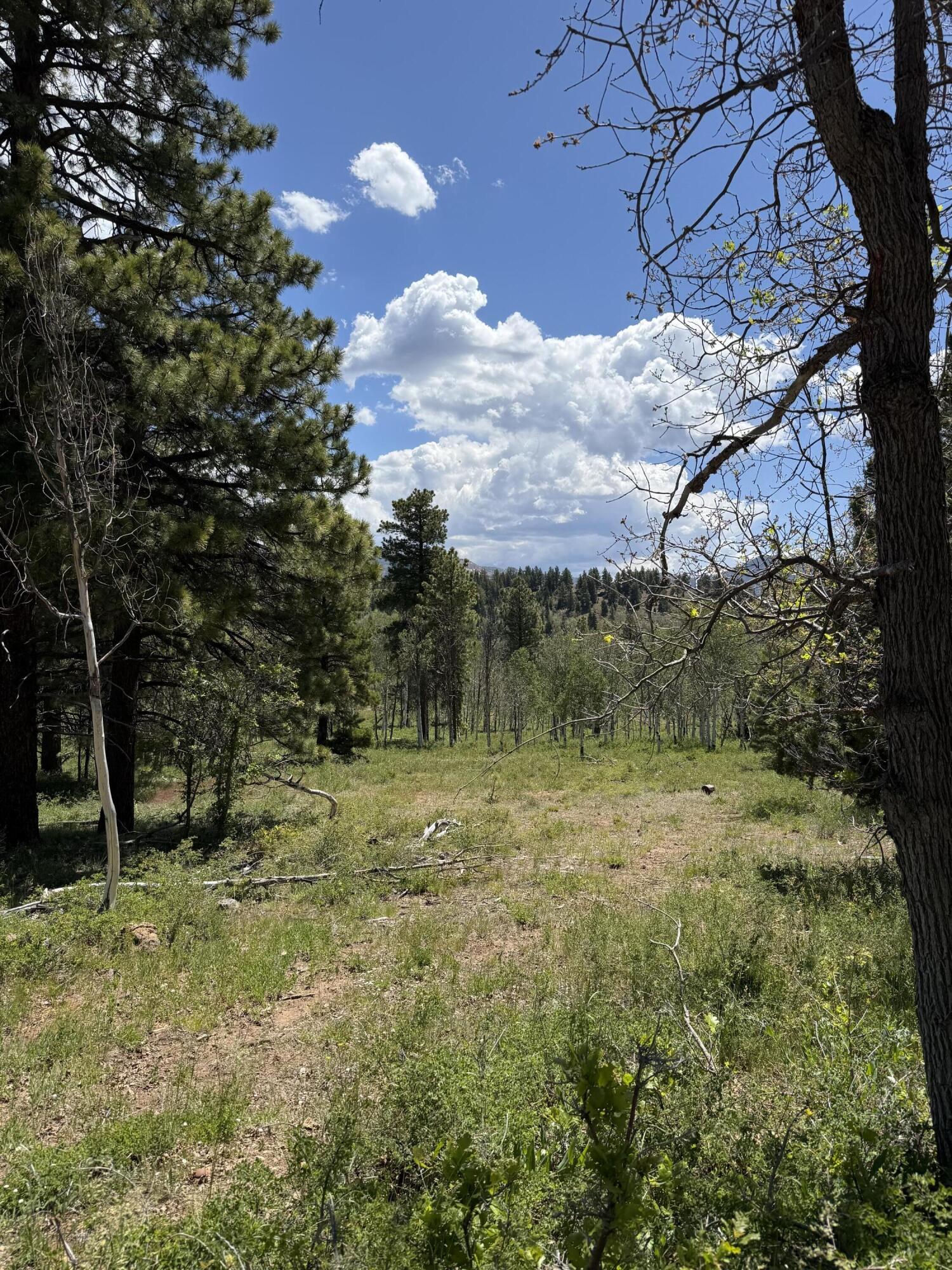 Minor Lot Addition to Trossach Lot Est, Next to Lot 23, Cedar City, photo 8 of 23