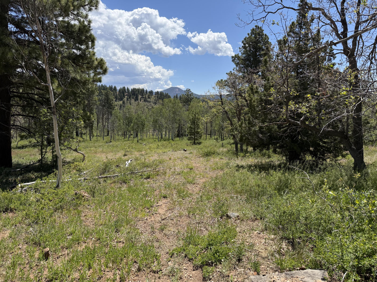 Minor Lot Addition to Trossach Lot Est, Next to Lot 23, Cedar City, photo 4 of 23