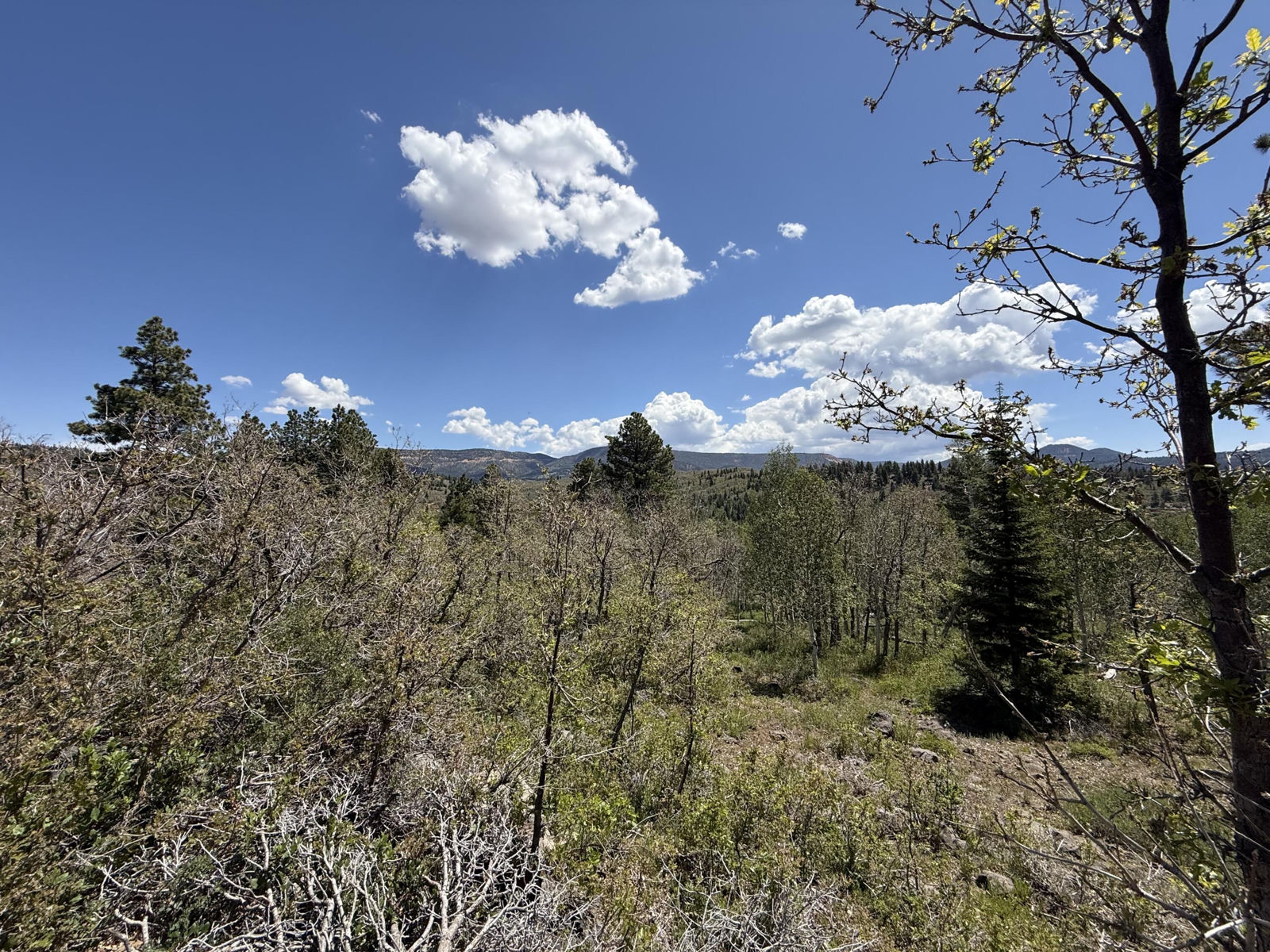 Minor Lot Addition to Trossach Lot Est, Next to Lot 23, Cedar City, photo 6 of 23