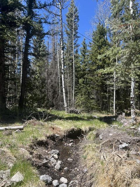 1014 W Chipmunk RD, Lot 14, Panguitch Lake, photo 5 of 18