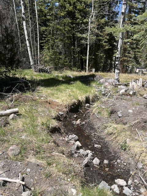 1014 W Chipmunk RD, Lot 14, Panguitch Lake, photo 6 of 18
