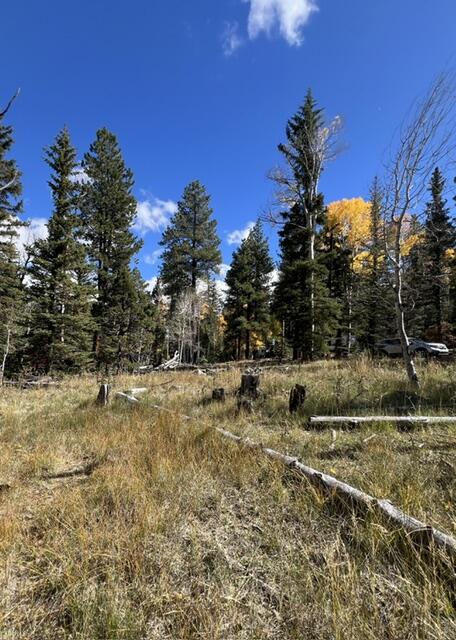 1014 W Chipmunk RD, Lot 14, Panguitch Lake, photo 9 of 18