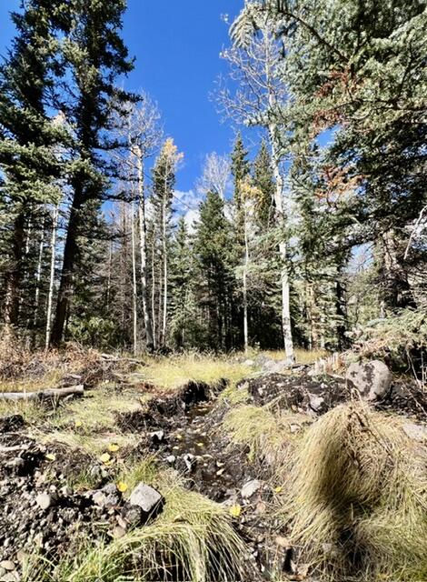 1014 W Chipmunk RD, Lot 14, Panguitch Lake, photo 7 of 18