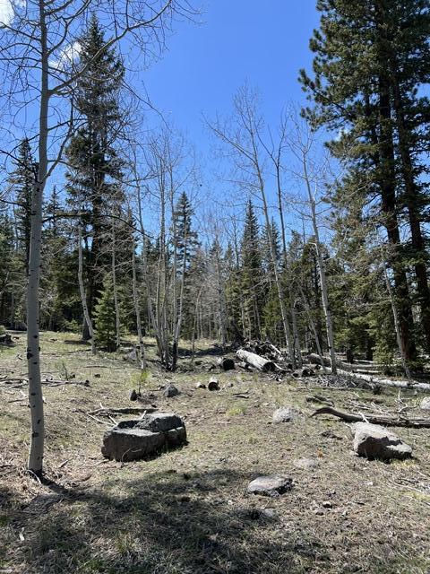 1014 W Chipmunk RD, Lot 14, Panguitch Lake, photo 10 of 18