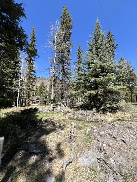 1014 W Chipmunk RD, Lot 14, Panguitch Lake, photo 11 of 18