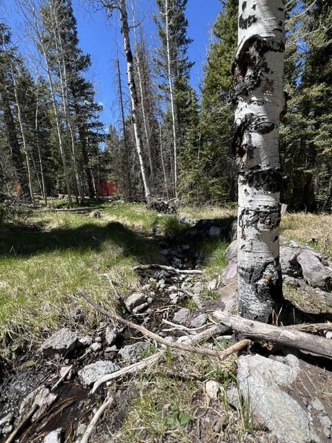 1014 W Chipmunk RD, Lot 14, Panguitch Lake, photo 8 of 18