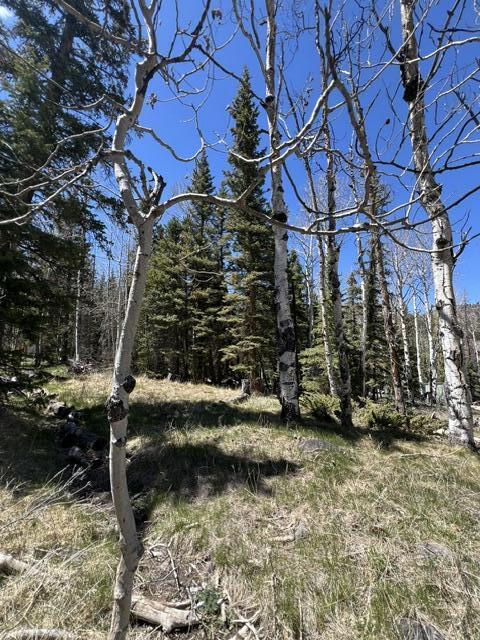 1014 W Chipmunk RD, Lot 14, Panguitch Lake, photo 12 of 18