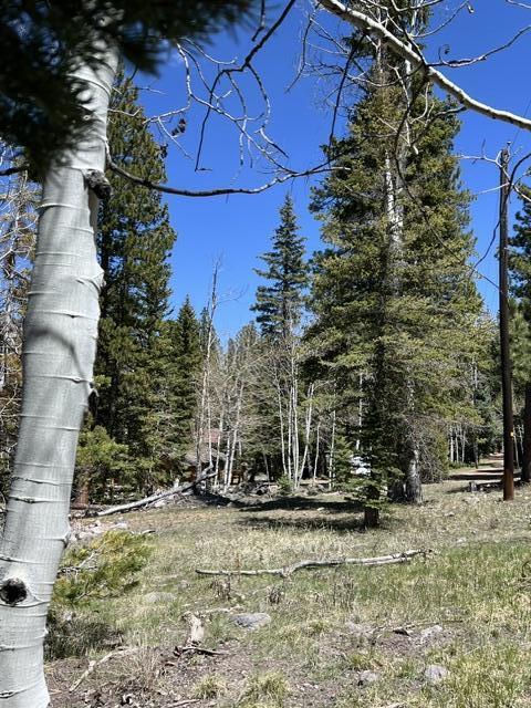1014 W Chipmunk RD, Lot 14, Panguitch Lake, photo 4 of 18