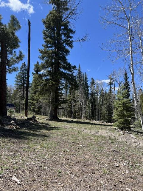 1014 W Chipmunk RD, Lot 14, Panguitch Lake, photo 1