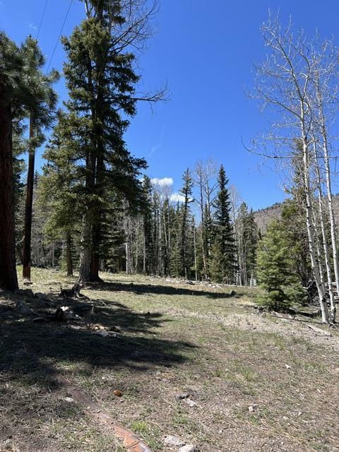 1014 W Chipmunk RD, Lot 14, Panguitch Lake, photo 2