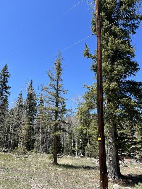 1014 W Chipmunk RD, Lot 14, Panguitch Lake, photo 13 of 18