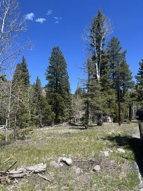 1014 W Chipmunk RD, Lot 14, Panguitch Lake, photo 14 of 18