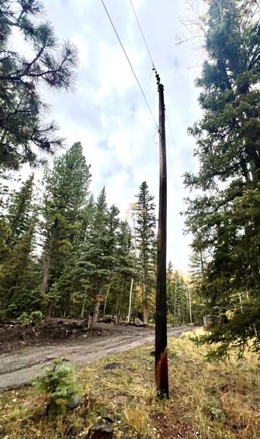 1014 W Chipmunk RD, Lot 14, Panguitch Lake, photo 15 of 18