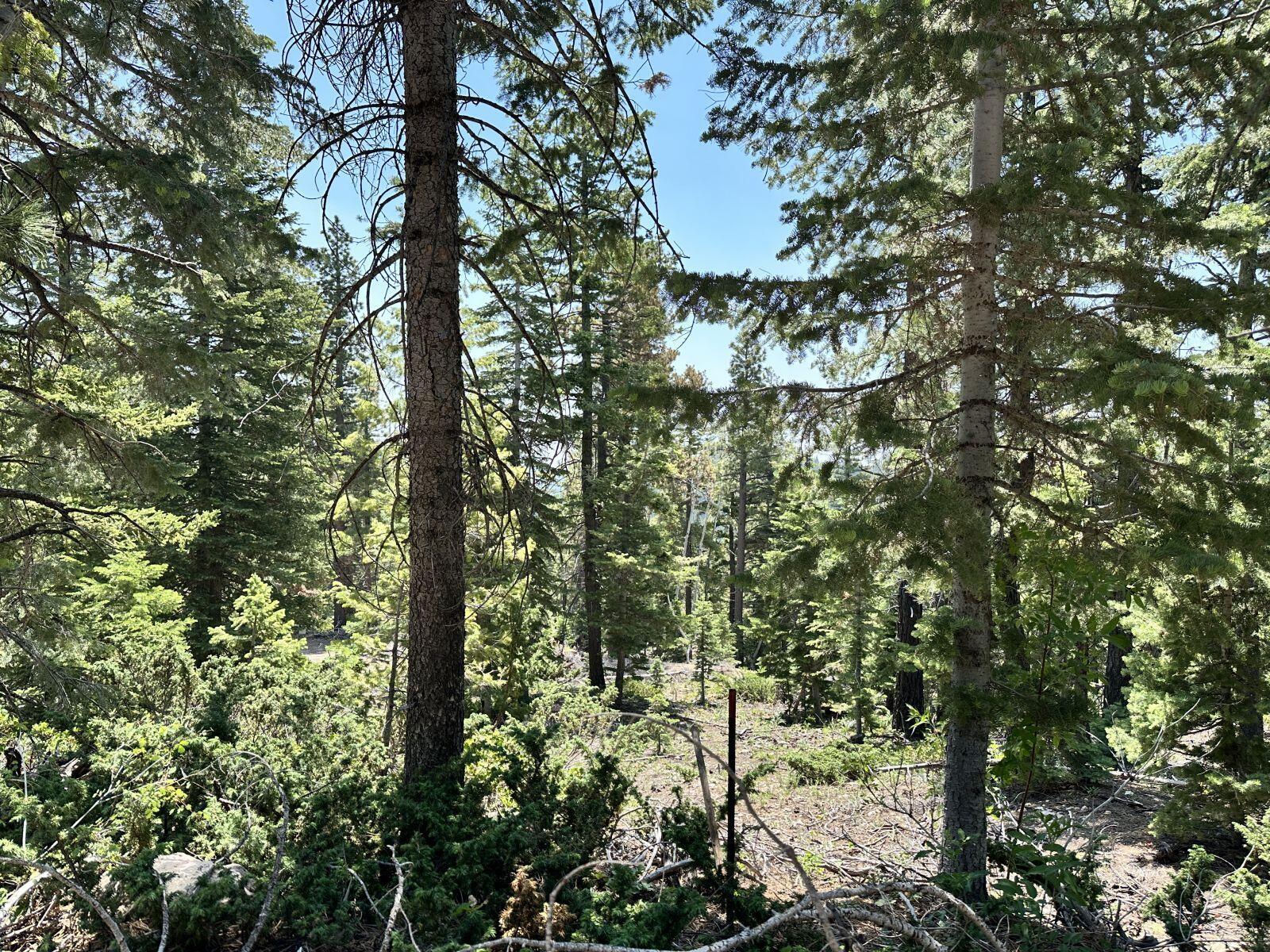 N Puma Way, Duck Creek Village, photo 2 of 8