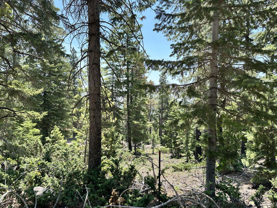 N Puma Way, Duck Creek Village, photo 2