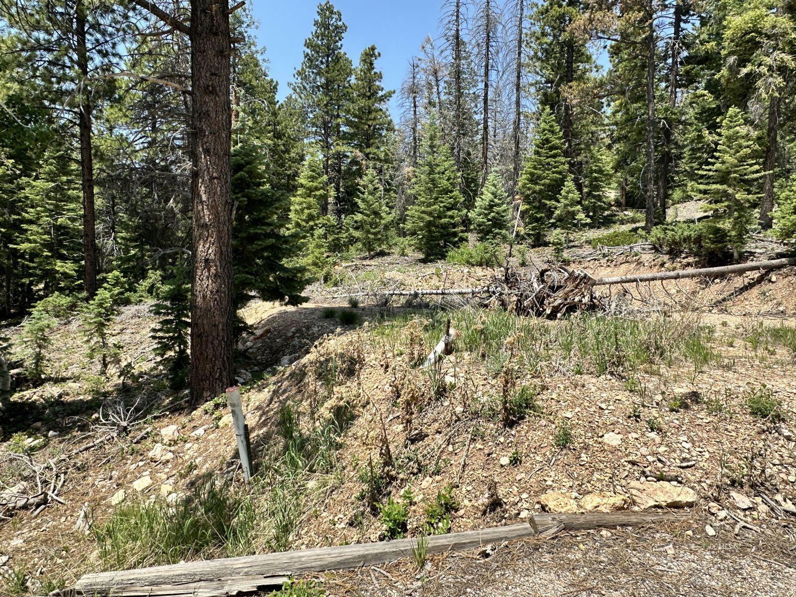 N Puma Way, Duck Creek Village, photo 4 of 8