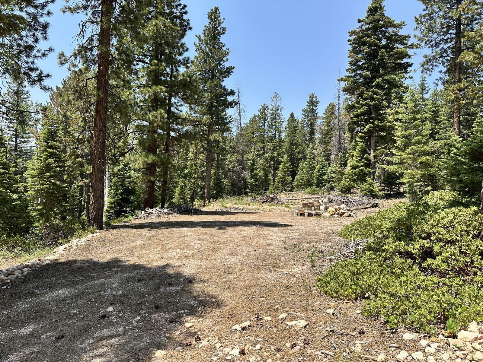 N Puma Way, Duck Creek Village, photo 1