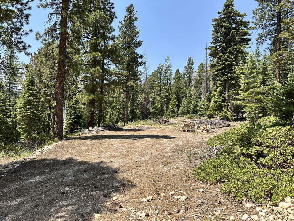 N Puma Way, Duck Creek Village
