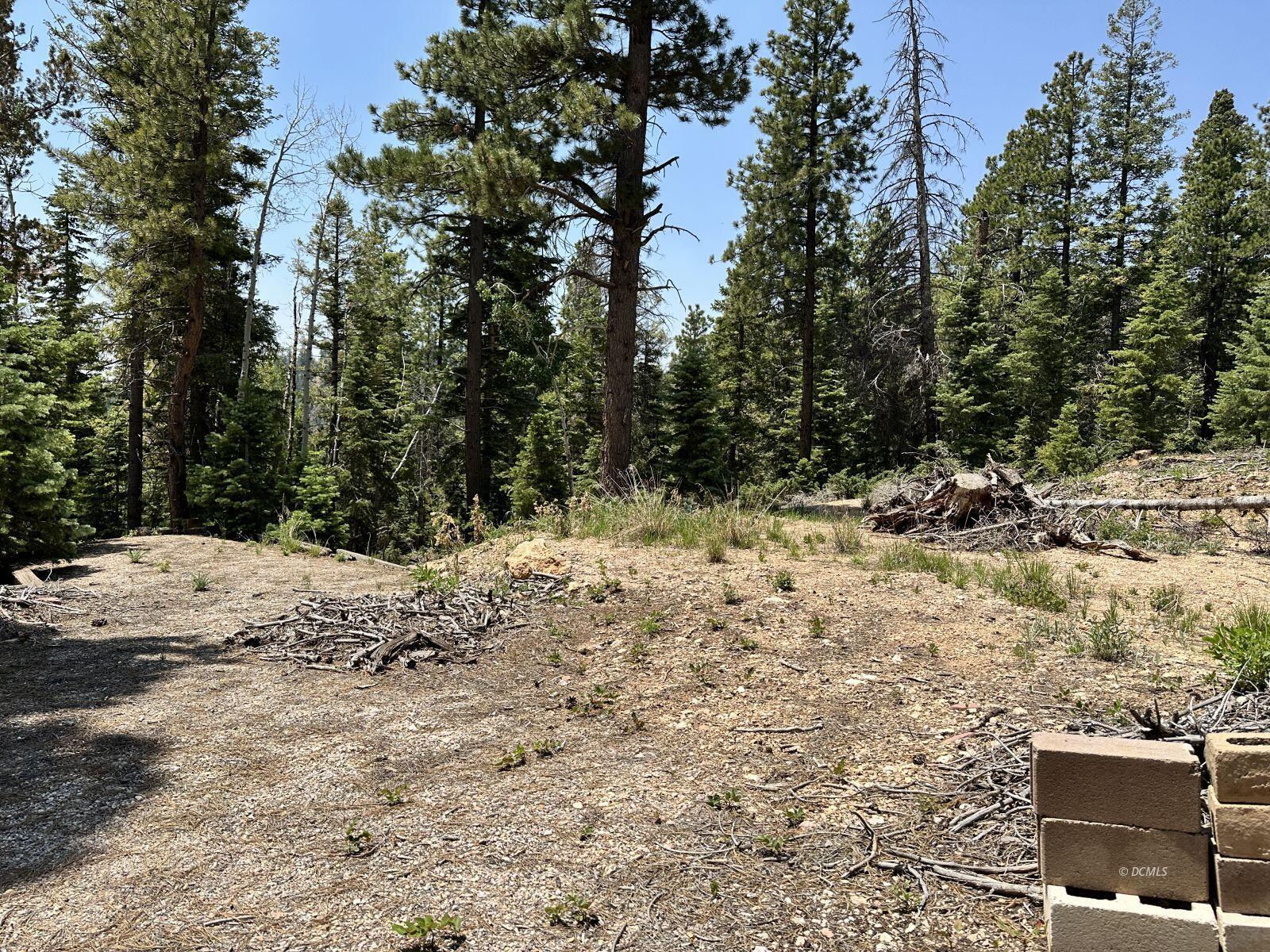 N Puma Way, Duck Creek Village, photo 7 of 8