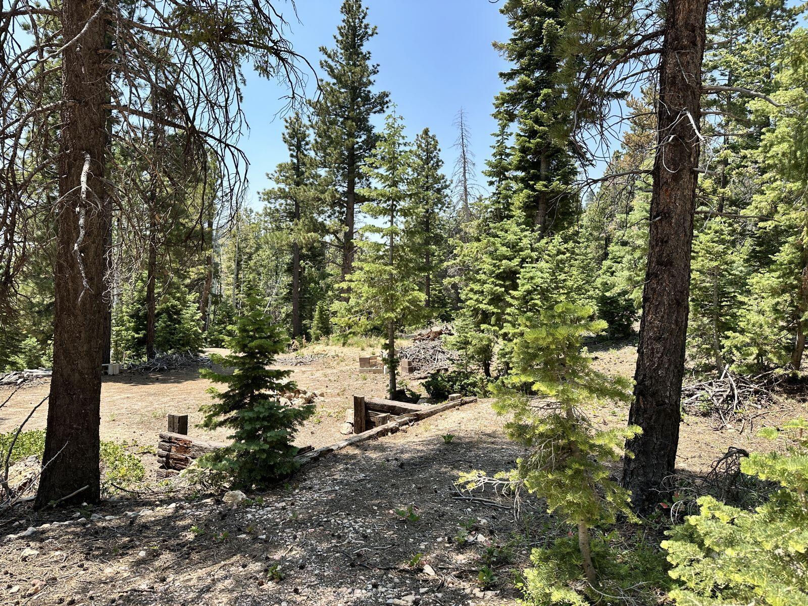 N Puma Way, Duck Creek Village, photo 8 of 8