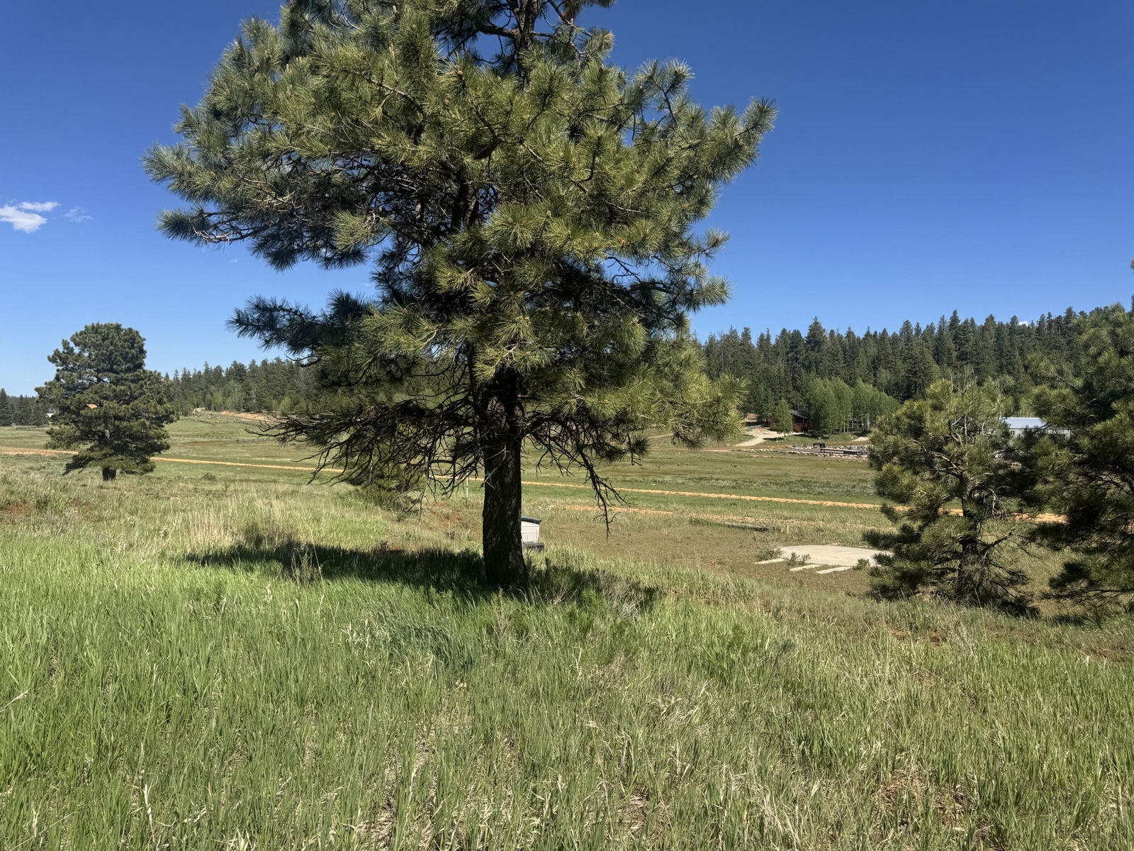 1580 E Gulf Stream DR, Duck Creek Village, photo 5 of 13